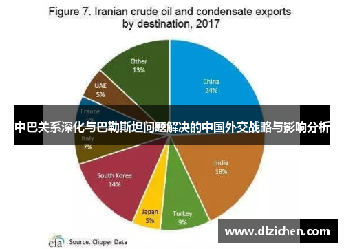 中巴关系深化与巴勒斯坦问题解决的中国外交战略与影响分析